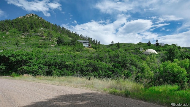 7490 Apache Way, Sedalia, CO 80135 - photo 30