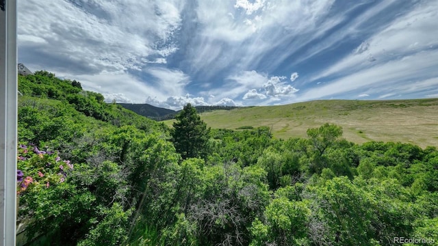7490 Apache Way, Sedalia, CO 80135 - photo 31