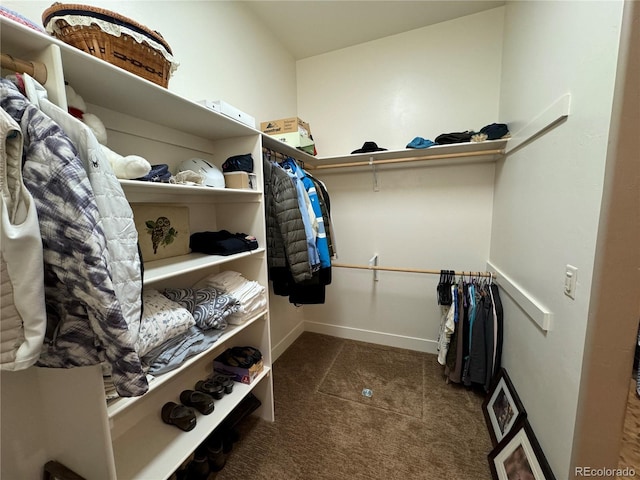 walk in closet featuring dark colored carpet