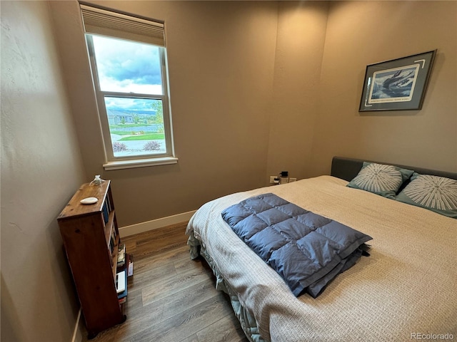 bedroom featuring wood-type flooring