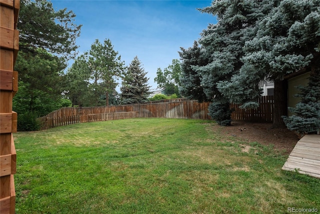 11805 W 74th Ave, Arvada, CO 80005 - view of fenced backyard