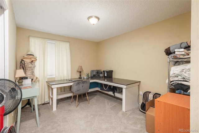 11805 W 74th Ave, Arvada, CO 80005 - carpeted home office with a textured ceiling