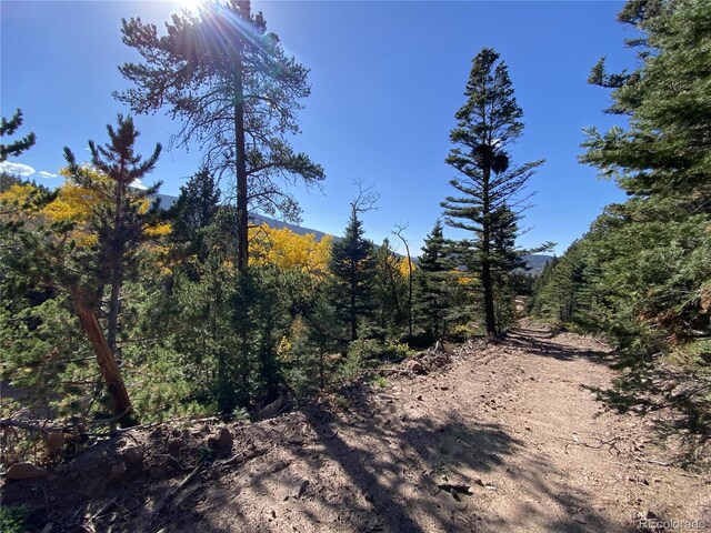 2700-2701 Purnell Ln, Fort Garland, CO 81133 - photo 5