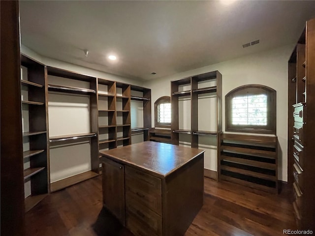 spacious closet with dark hardwood / wood-style flooring