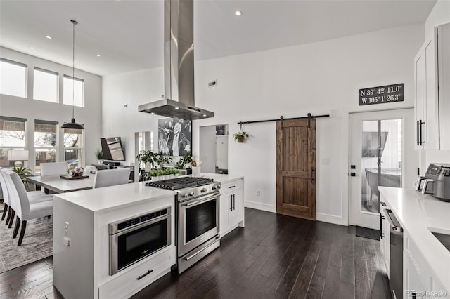 kitchen with appliances with stainless steel finishes, pendant lighting, island exhaust hood, a barn door, and white cabinets