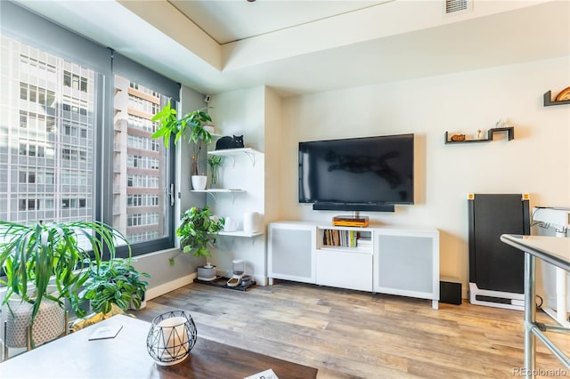 living room featuring wood-type flooring