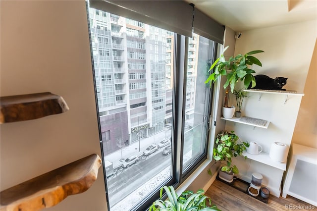 room details with hardwood / wood-style floors