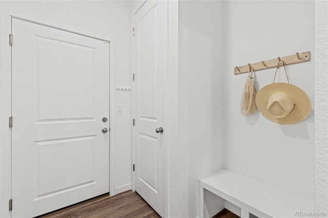1678 Wright Aly, Erie, CO 80516 - mudroom with dark wood-style flooring