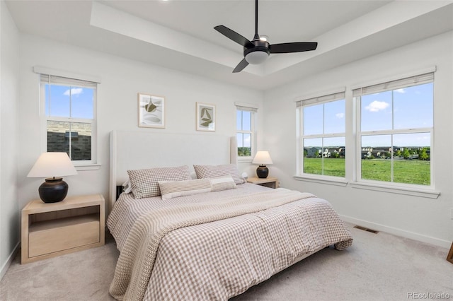 1678 Wright Aly, Erie, CO 80516 - carpeted bedroom with multiple windows, baseboards, and a tray ceiling