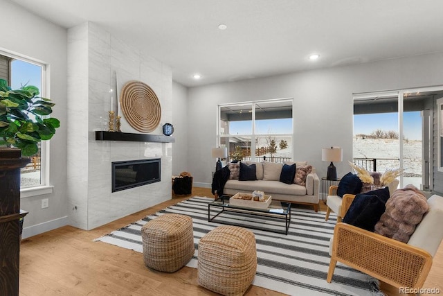 living room featuring plenty of natural light, a premium fireplace, and wood finished floors