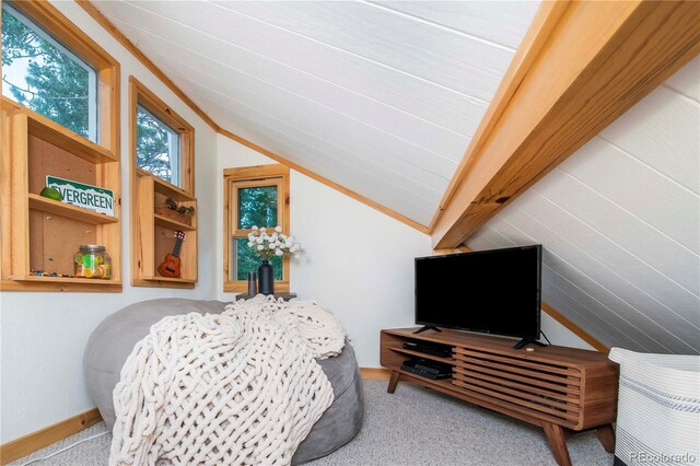 26 Cool Spring Dr, Evergreen, CO 80439 - photo 31