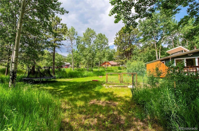 26 Cool Spring Dr, Evergreen, CO 80439 - photo 37