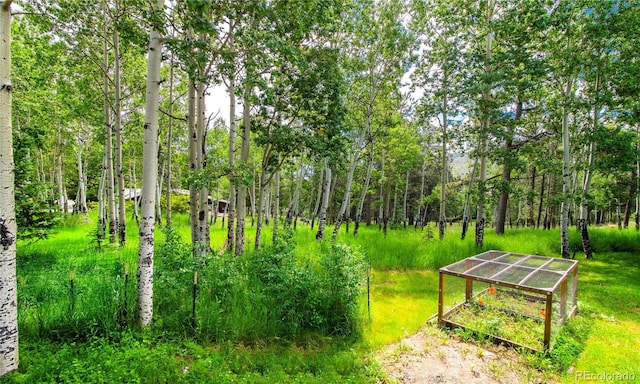 26 Cool Spring Dr, Evergreen, CO 80439 - photo 39