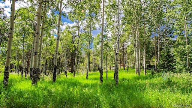 26 Cool Spring Dr, Evergreen, CO 80439 - photo 41