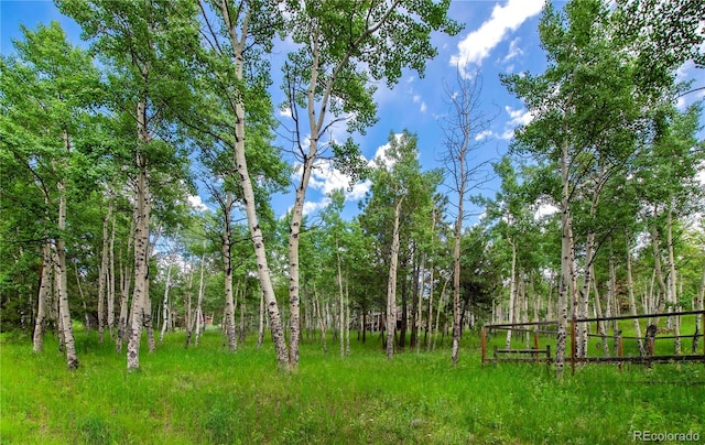 26 Cool Spring Dr, Evergreen, CO 80439 - photo 44
