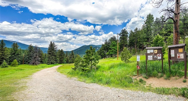 26 Cool Spring Dr, Evergreen, CO 80439 - photo 45
