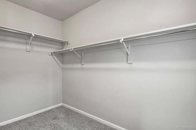walk in closet with carpet