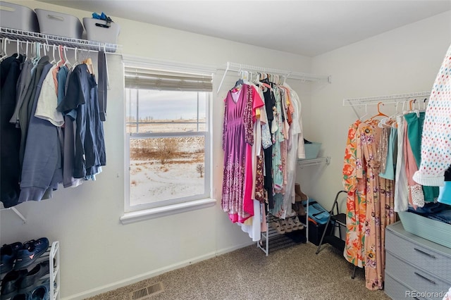 spacious closet featuring visible vents and carpet flooring