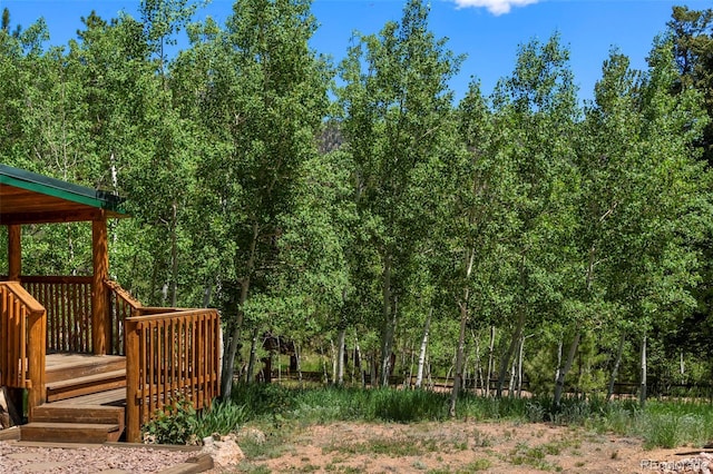 546 Pulver Rd, Lake George, CO 80827 - view of yard featuring a wooden deck and a wooded view