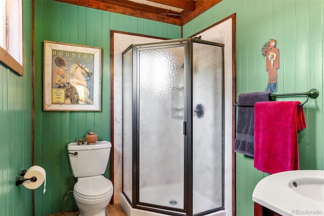 546 Pulver Rd, Lake George, CO 80827 - full bath featuring a shower stall and wood walls