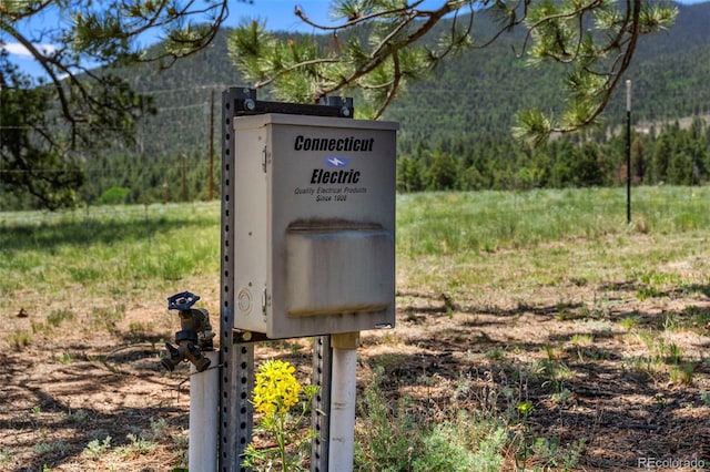 546 Pulver Rd, Lake George, CO 80827 - exterior view of a forest and a mountain backdrop