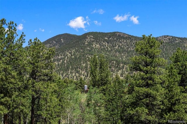 546 Pulver Rd, Lake George, CO 80827 - view of mountain background featuring a forest