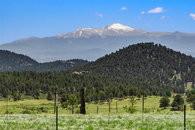 546 Pulver Rd, Lake George, CO 80827 - view of mountain background featuring a heavily wooded area