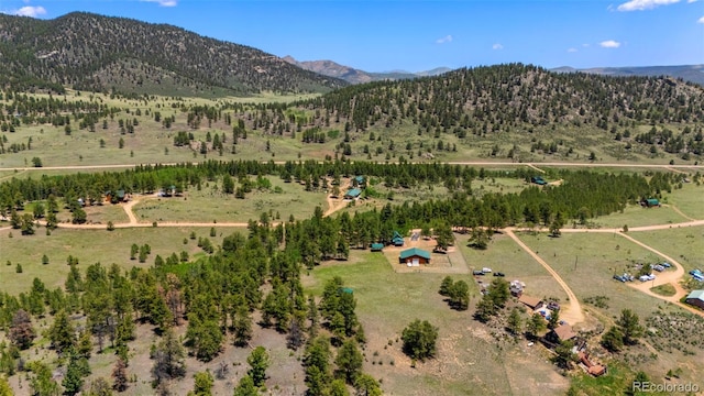 546 Pulver Rd, Lake George, CO 80827 - aerial overview of property's location with mountains and rural landscape