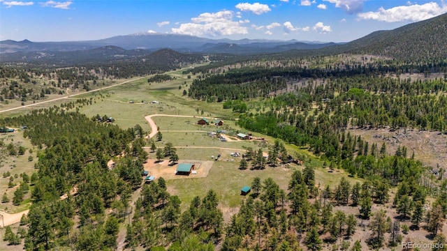 546 Pulver Rd, Lake George, CO 80827 - aerial overview of property's location with a mountainous background and rural landscape