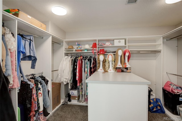 7400 S Genoa Cir, Centennial, CO 80016 - spacious closet with carpet floors