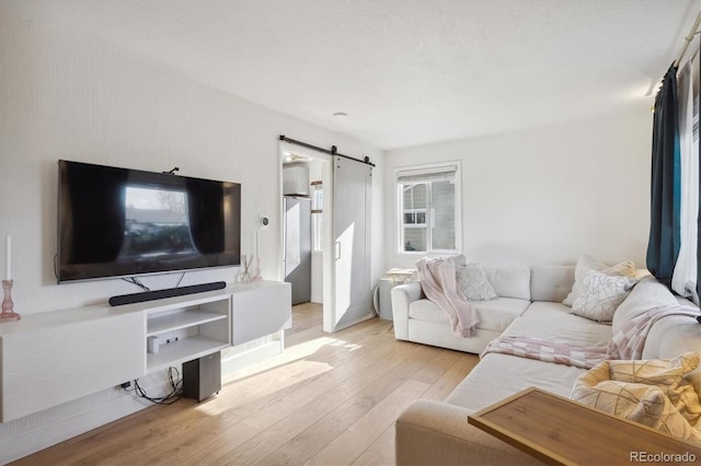 living room with light hardwood / wood-style floors and a barn door