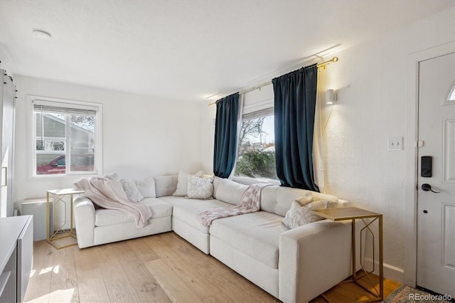 living room featuring light hardwood / wood-style flooring