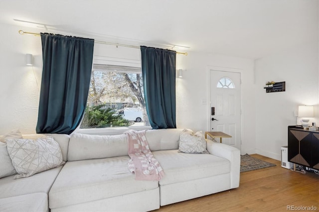 living room with a healthy amount of sunlight and hardwood / wood-style floors