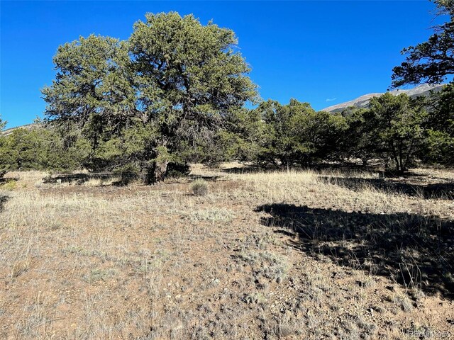 103 Indian Hill Rd, Mosca, CO 81146 - photo 4