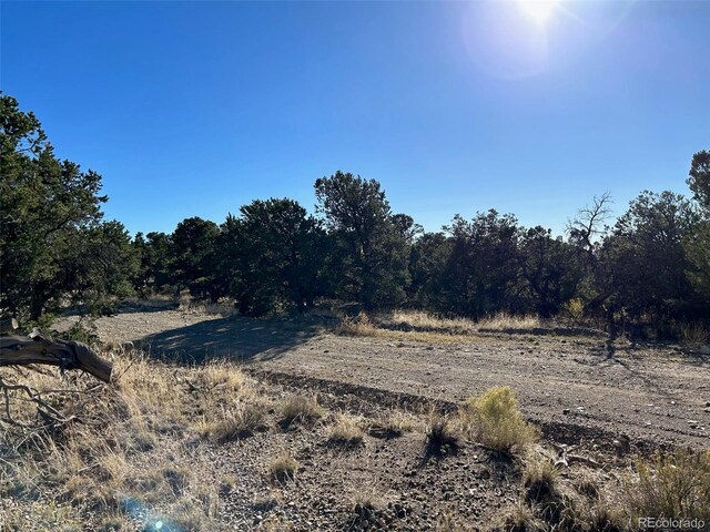 103 Indian Hill Rd, Mosca, CO 81146 - photo 5