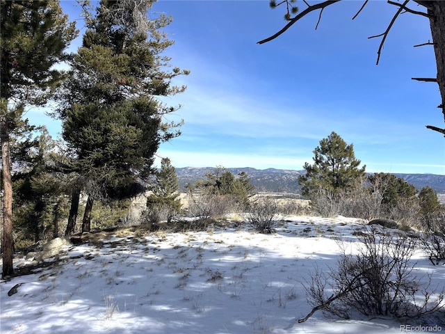 30175 Mountaintop Dr, Buena Vista CO, 81211 land for sale