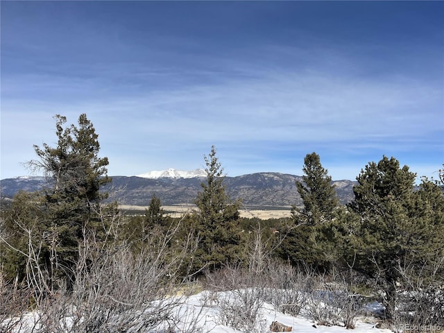 Listing photo 2 for 30175 Mountaintop Dr, Buena Vista CO 81211