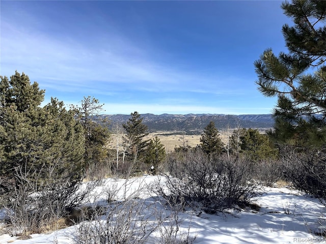 Listing photo 3 for 30175 Mountaintop Dr, Buena Vista CO 81211