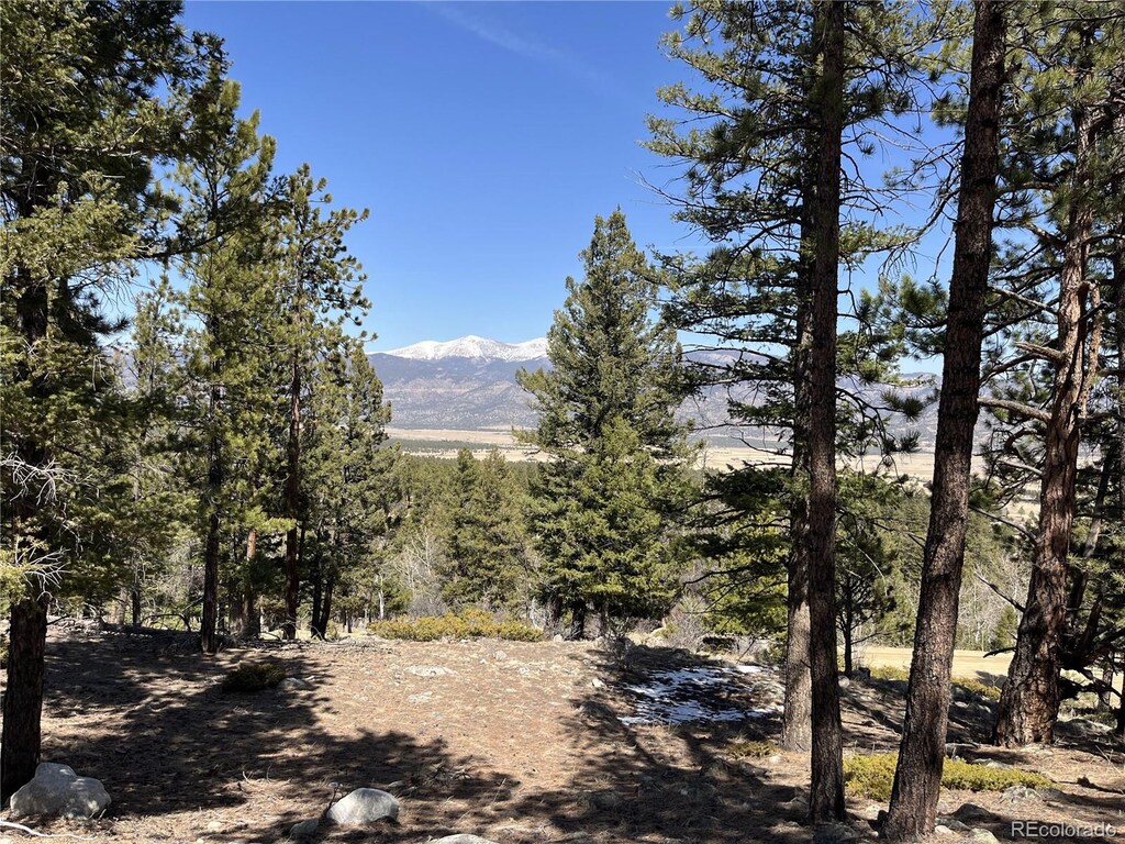 30175 Mountaintop Dr, Buena Vista, CO 81211
