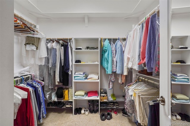 view of spacious closet