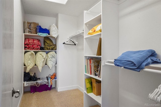 view of spacious closet