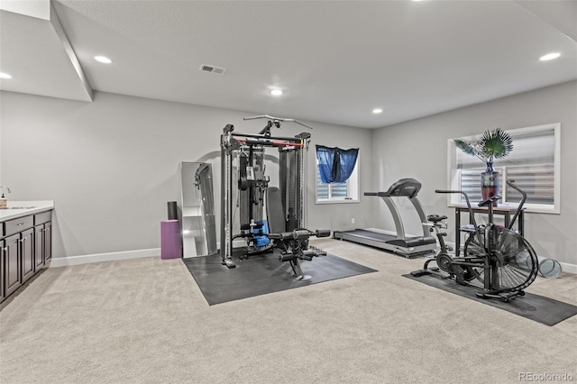 exercise area featuring sink and light carpet