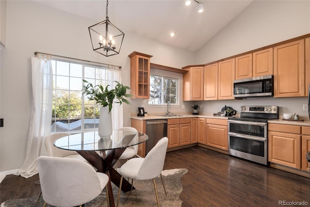 kitchen featuring decorative light fixtures, appliances with stainless steel finishes, a chandelier, and dark hardwood / wood-style flooring