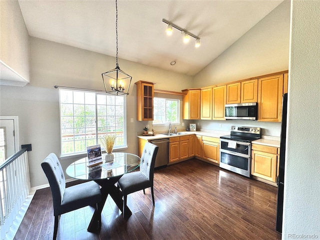 kitchen featuring appliances with stainless steel finishes, track lighting, a sink, light countertops, and dark wood-style floors