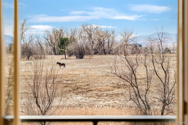 view of yard with a rural view