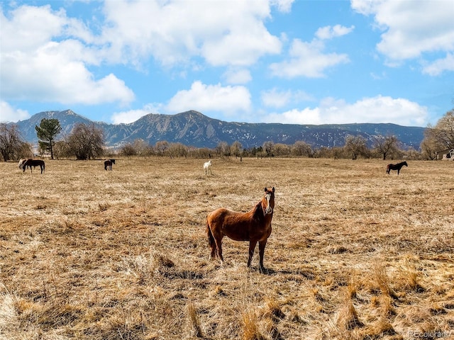 property view of mountains with a rural view