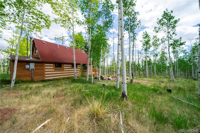 326 Canthook Ln, Fairplay, CO 80440 - photo 3