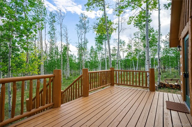 326 Canthook Ln, Fairplay, CO 80440 - photo 8