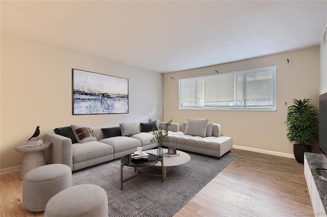 living room featuring wood finished floors and baseboards