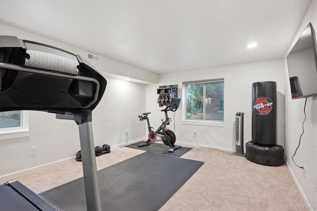 exercise room featuring light colored carpet